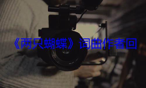 《两只蝴蝶》词曲作者回应赚了2个亿：从头到尾就5千 (《两只蝴蝶》原唱)
