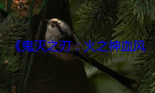 《鬼灭之刃：火之神血风谭2》耕升 GeForce RTX 5060 追风 (鬼灭之刃柱训篇)