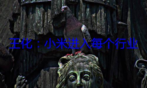 王化：小米进入每个行业都承担了科普的重任 活到老学到老 (小米 王楣)