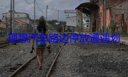 理想汽车路边停放遭遇划伤