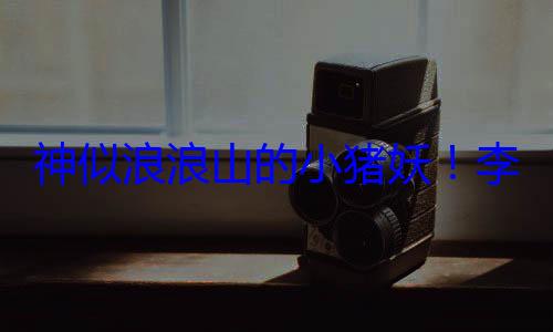 神似浪浪山的小猪妖！李斌回应加氧梗图：谁做的 太有? (浪山情歌原唱是谁)
