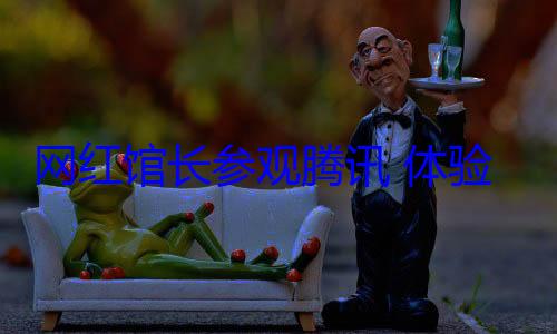 网红馆长参观腾讯 体验微信支付误称支付宝 现场笑倒一片 (网红馆是干嘛的)