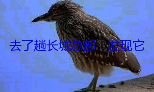 去了趟长城总部：发现它不只是个造车? (我去长城)