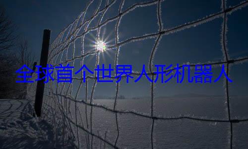 全球首个世界人形机器人运动会来啦！ (全球首个世界女子围棋公开赛即将在福州开赛)