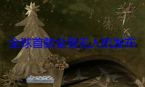 全球首款全景无人机发布后 影石老板撒钱犒劳员工 (全景平台哪个好)