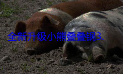 全新升级小熊叠叠锅3.0闪耀京东新品首发舞台