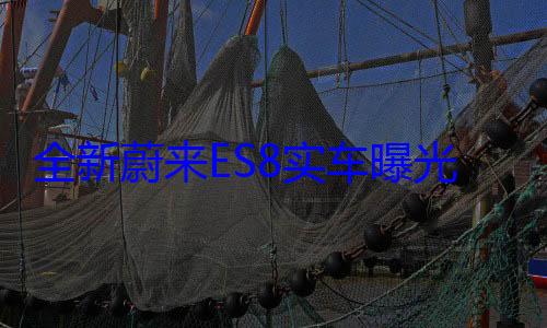 全新蔚来ES8实车曝光：车身全面加长 气场不输路虎揽胜 (全新蔚来es8价格)