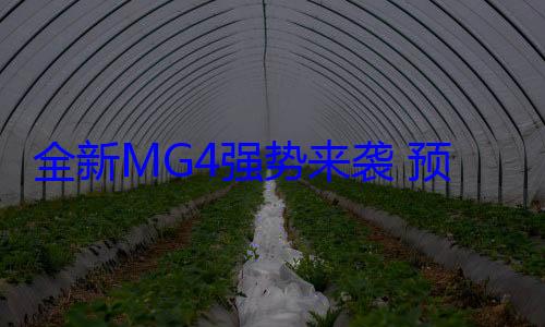 全新MG4强势来袭 预售成绩亮眼给比亚迪海豚带来不小压力