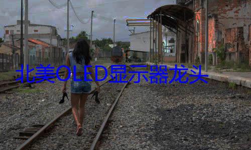 北美OLED显示器龙头地位动摇 欧洲与中国厂商异军突起