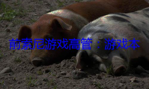 前索尼游戏高管：游戏本该随着世代提升一起涨价！ (索尼游戏高管)