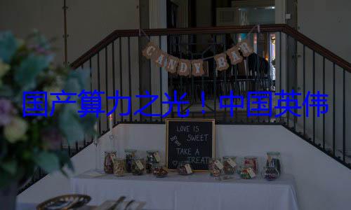 国产算力之光！中国英伟达股价再创历史新高 市值破4000? (国产算力之光 中科院)
