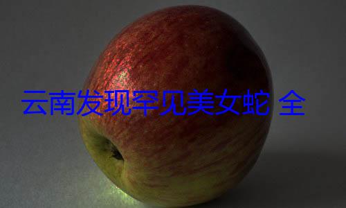 云南发现罕见美女蛇 全国累计发现仅10余例 (云南发现罕见动物)