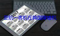 亚航一客机在韩国降错机场 乘客拿完行李看窗外直接懵 (亚航机队)