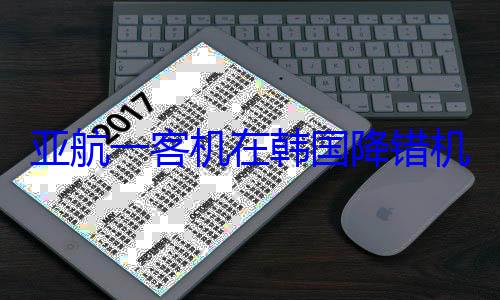 亚航一客机在韩国降错机场 乘客拿完行李看窗外直接懵 (亚航机队)