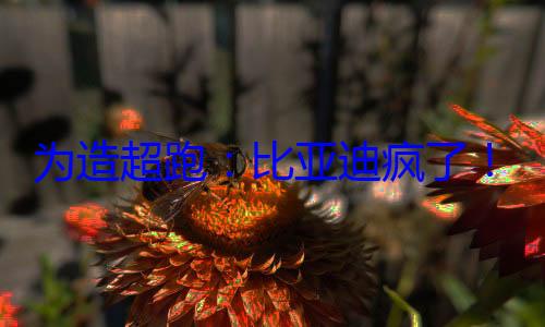 为造超跑：比亚迪疯了！ (制造超跑)