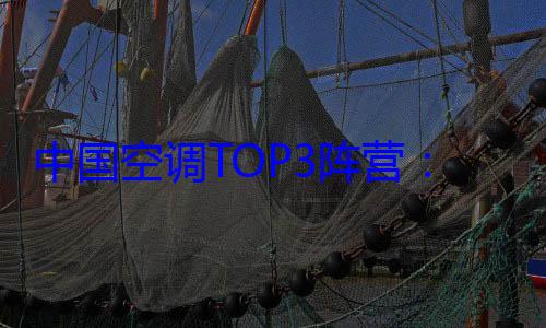 中国空调TOP3阵营：海尔唯一份额净增长 (中国空调品牌排名)
