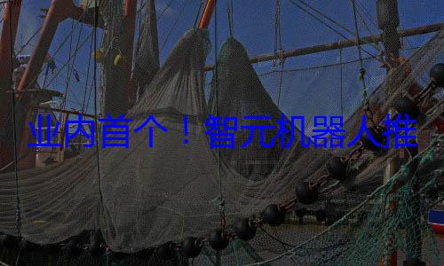 业内首个！智元机器人推出机器人世界模型平台 (zan智)