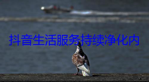 抖音生活服务持续净化内容生态 (抖音生活服务客服电话)