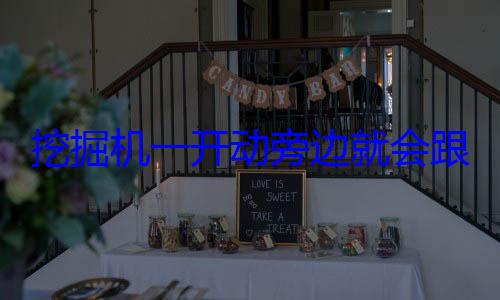 挖掘机一开动旁边就会跟着一群鸟：这些是什么 咋就不怕? (挖掘机一开动就有声音)
