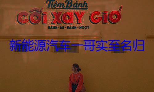 新能源汽车一哥实至名归！比亚迪包揽全球三大榜单榜首 (新能源汽车一次充电多少度)