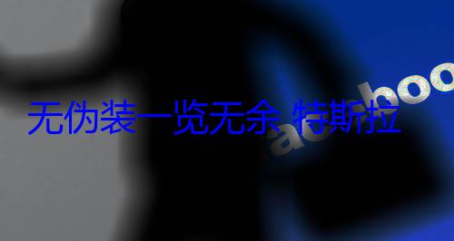 无伪装一览无余 特斯拉Model Y L已经开始运输 (无伪的意思)