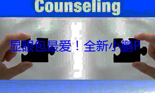 显眼包最爱！全新小鹏P7鹏翼门版官宣：售价或达40万 (显眼包是哪里话)