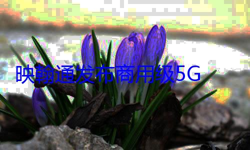 映翰通发布商用级5G CPE (映翰通业绩)