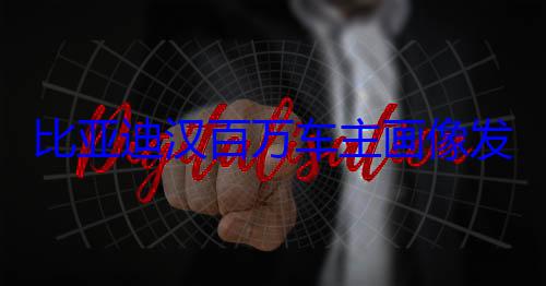比亚迪汉百万车主画像发布：年轻人占比超64% 近4成未? (比亚迪汉百万车主画像发布)