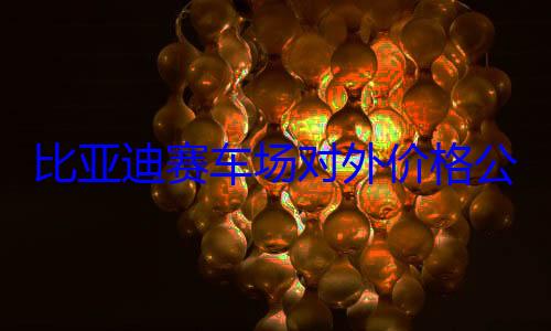比亚迪赛车场对外价格公布：60分钟599元起 可坐仰望U9飙圈 (比亚迪赛车场官网)