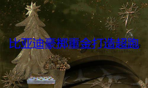 比亚迪豪掷重金打造超跑