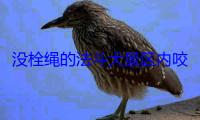 没栓绳的法斗犬景区内咬马致游客坠落：被马飞起一脚踢废 (法斗不牵绳)