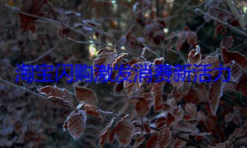 淘宝闪购激发消费新活力 上海商家热议多平台竞争力促生? (淘宝闪购激发什么活动)