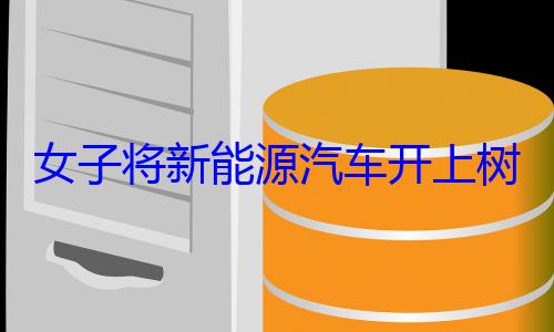 女子将新能源汽车开上树 官方回应：系操作不当 (女子将新能源汽车开上树 警方回应)