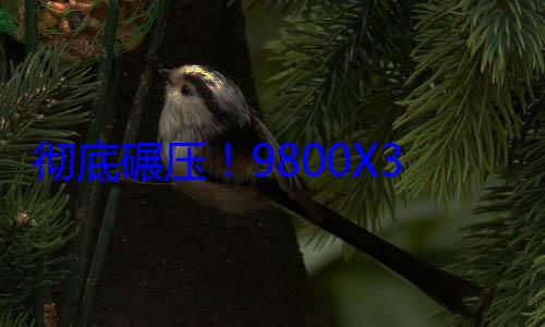 彻底碾压！9800X3D玩《战地6》比14900K快30%：功耗还低40% (彻底碾压怎么押韵)