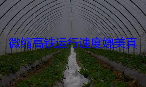 微缩高铁运行速度媲美真实列车 男生创意作品引发关注