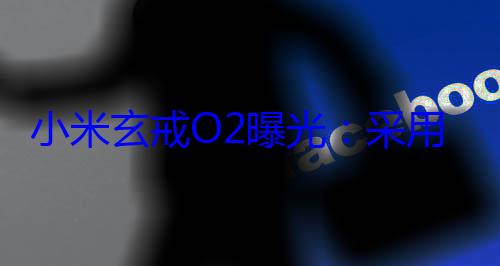 小米玄戒O2曝光：采用Arm最新架构 性能比想象中更激? (小米玄戒O2商标官网入口)