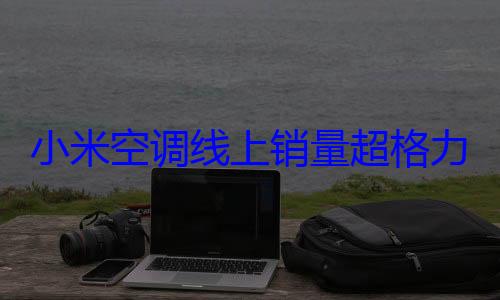 小米空调线上销量超格力 王化：没想到新时代这么快就来 (小米空调线上线下质量一样吗)