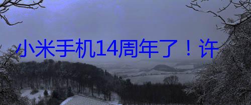 小米手机14周年了！许斐：最遗憾的一代是小米 (小米手机14多少钱)