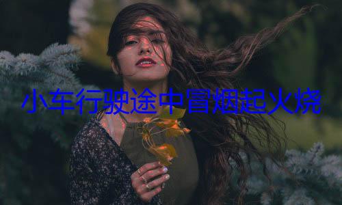 小车行驶途中冒烟起火烧成空壳 所幸无人员伤亡 (车辆行驶途中注意事项)