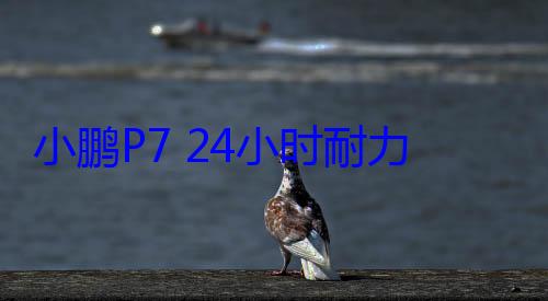 小鹏P7 24小时耐力测试成绩出炉：3961公里 比小米多17公里 (小鹏P7+价格)