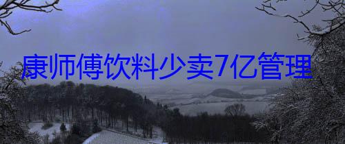 康师傅饮料少卖7亿管理层称不降价 500ml装也要涨 (康师傅饮料1l)