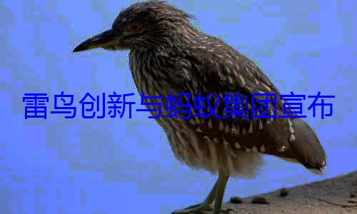 雷鸟创新与蚂蚁集团宣布战略合作 发布全球首个全彩眼镜支 (雷鸟创新官网)