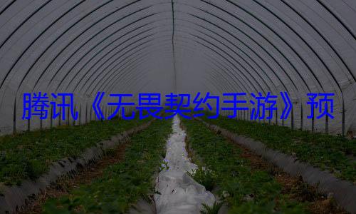 腾讯《无畏契约手游》预下载开?9日登陆安卓、iOS (无畏契约公测)