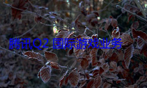 腾讯Q2 国际游戏业务继续走强 (腾讯 q2)