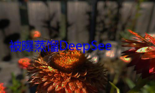 被曝蒸馏DeepSeek还造假！欧版OpenAI塌方 (蒸馏是啥)