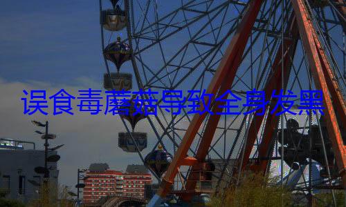 误食毒蘑菇导致全身发黑不幸身亡