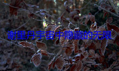 谢里丹宇宙中隐藏的无限可能