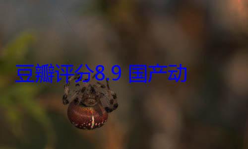 豆瓣评分8.9 国产动漫之光遭遇出海难题 被要求使用日语配音引主创无奈