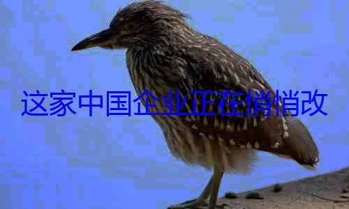 这家中国企业正在悄悄改变行业规则