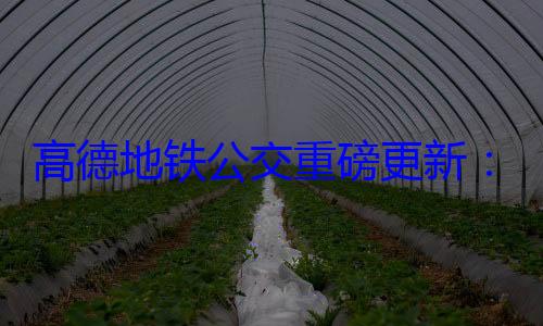 高德地铁公交重磅更新：实时地铁到站预测、乘车码来 (高德地图有公交车实时)